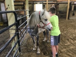boy with horse