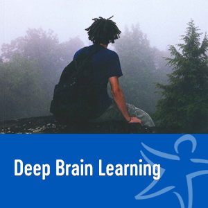 deep brain learning book"
