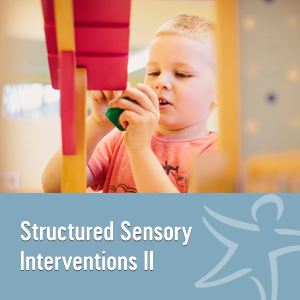 Structured Sensory Interventions II"